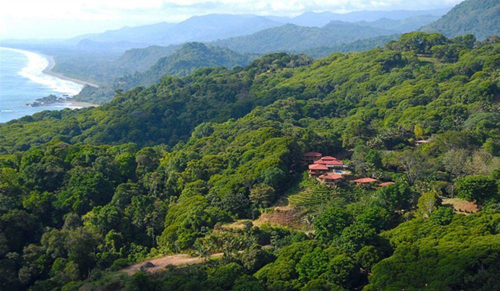 Villas Alturas Dominical Eksteriør billede